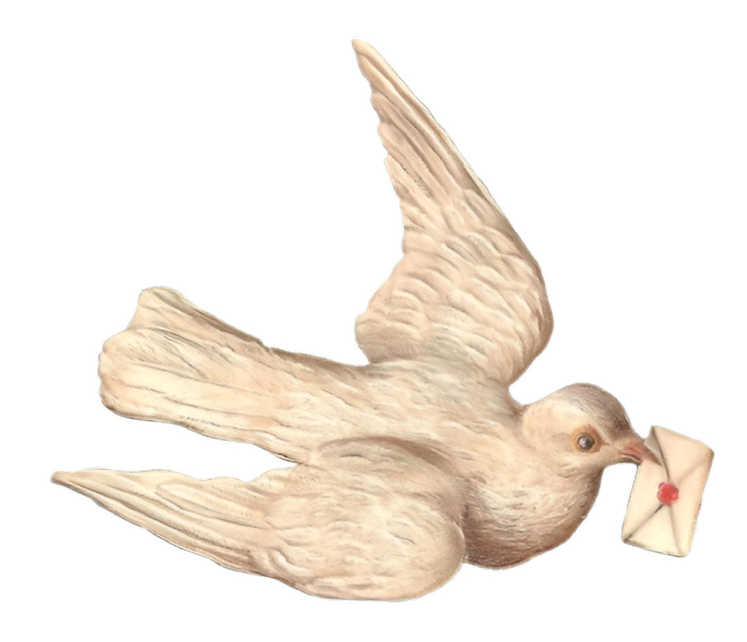 Dove with Letter